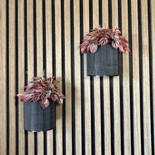 Urtepotte til væggen